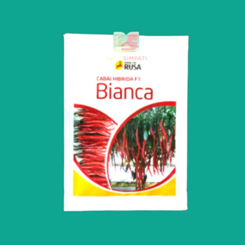 Bianca Cabai Keriting (10grm)