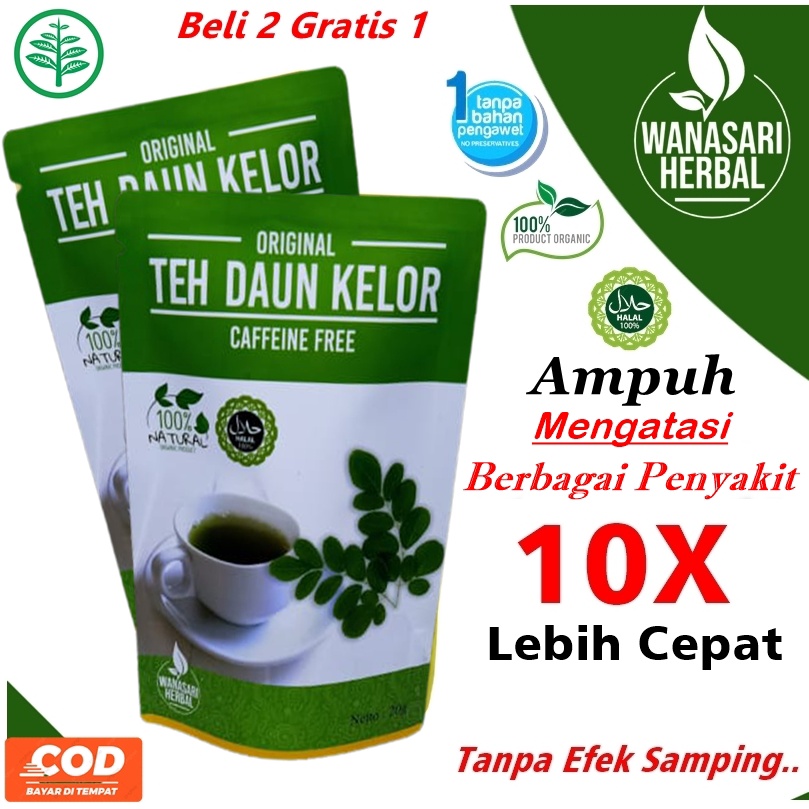 Jual Teh Daun Kelor Segar Original Murni Teh Daun Kelor Celup Moringa Daun Kelor Daun Kelor