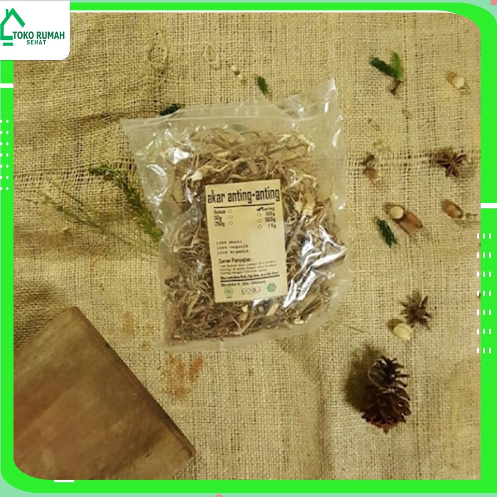 

AKAR ANTING ANTING KERING 1 KG - Acalypha Australis Linn - MURNI