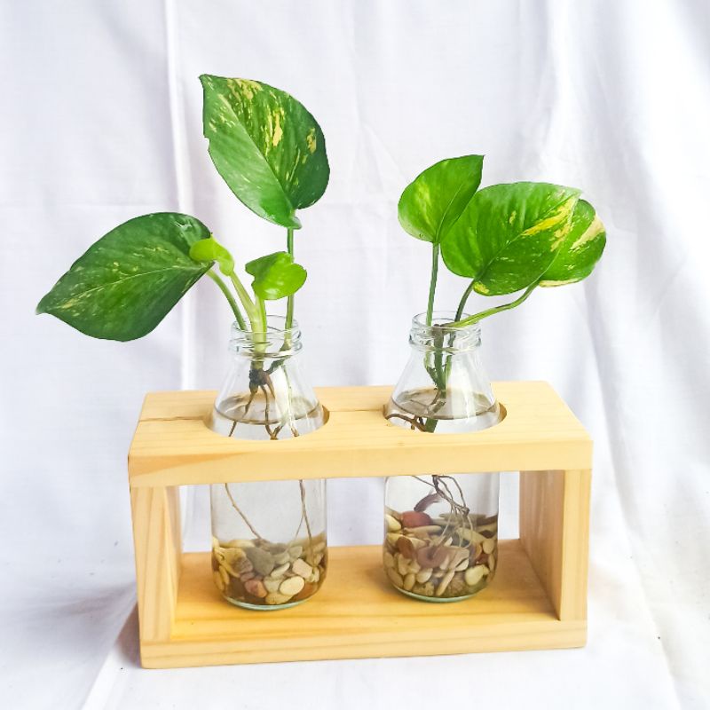 Vas Bunga Kayu Minimalis /Wooden Vase /Pot Kayu /Vas Bunga Kayu /Dekorasi Meja Kerja