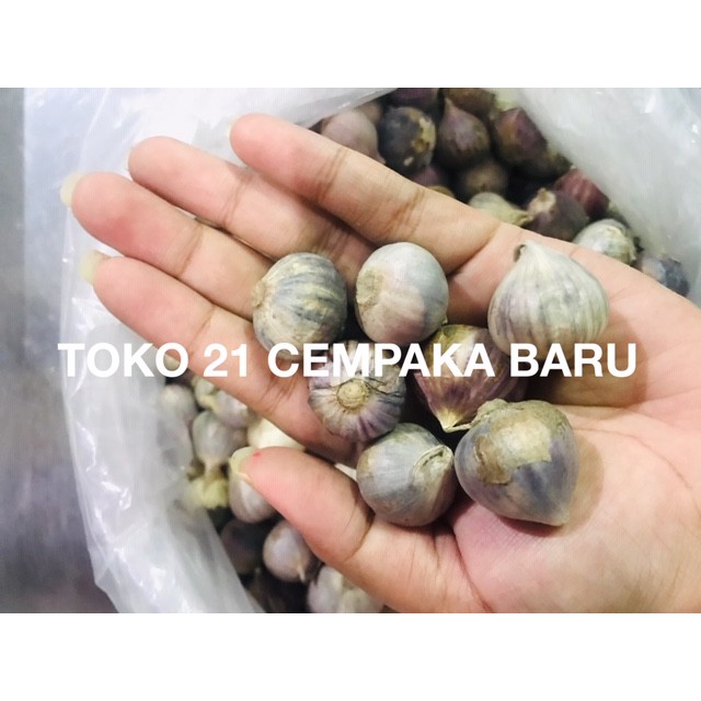 

Bawang Putih Tunggal 100 gram | Bawang Lanang Tunggal Kiloan 100g Murah