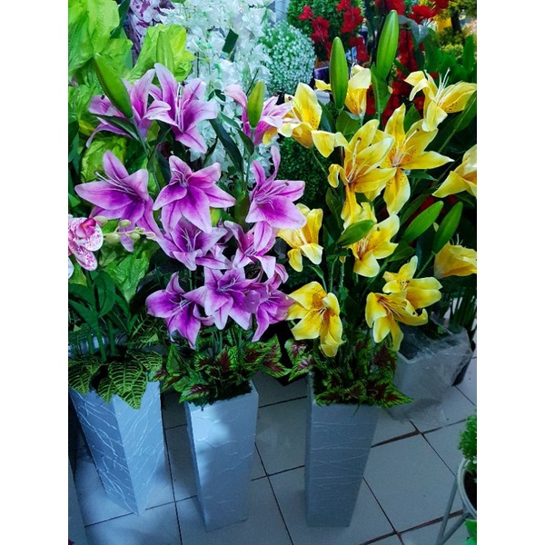 lily latex sudut  , bunga sudut