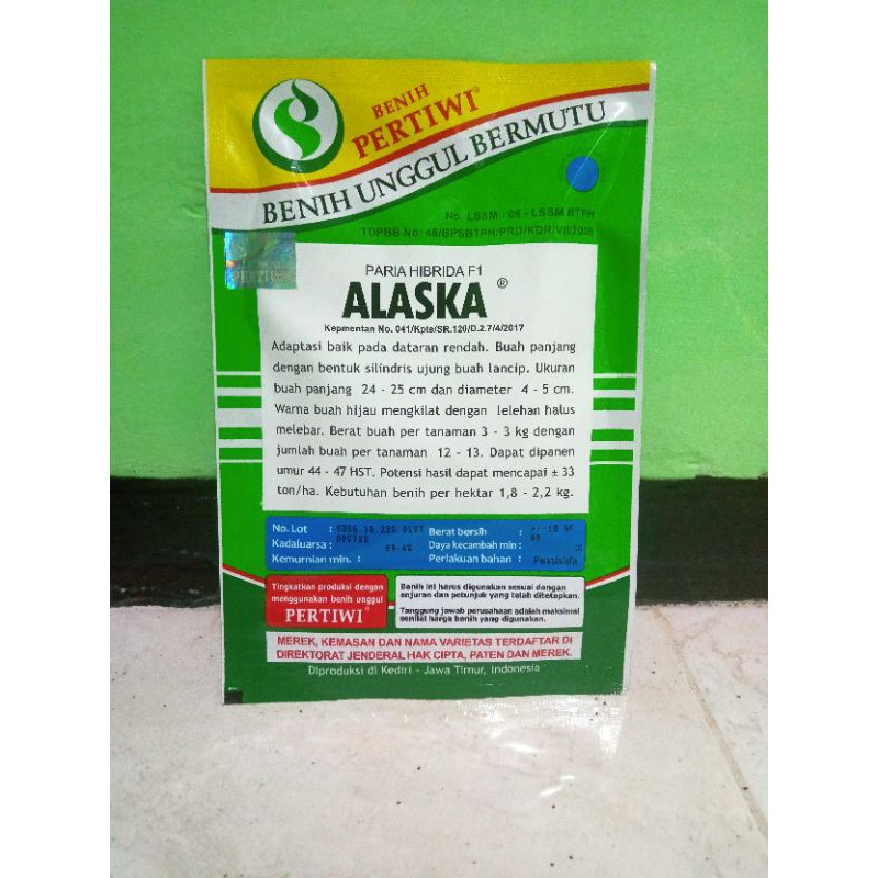 BENIH PARIA PARE HIBRIDA F1 ALASKA-1