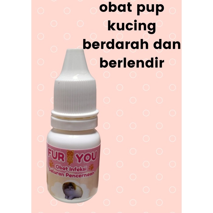 Obat Pup Berdarah Dan Berlendir Kucing