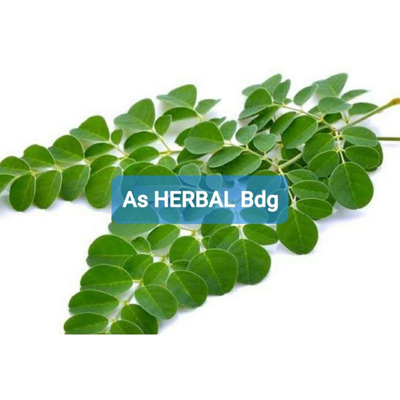 

Daun kelor segar per 30 tangkai