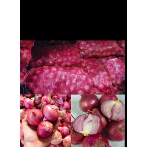 bawang merah india karungan
