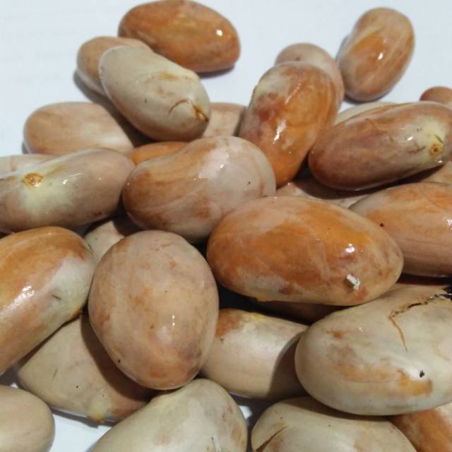 BIJI NANGKA SEGAR 1000 gram