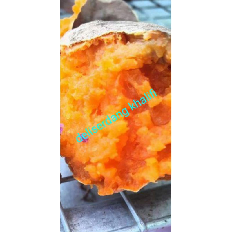 

UBI JALAR MADU/KUNING LEMBUT 1 KG