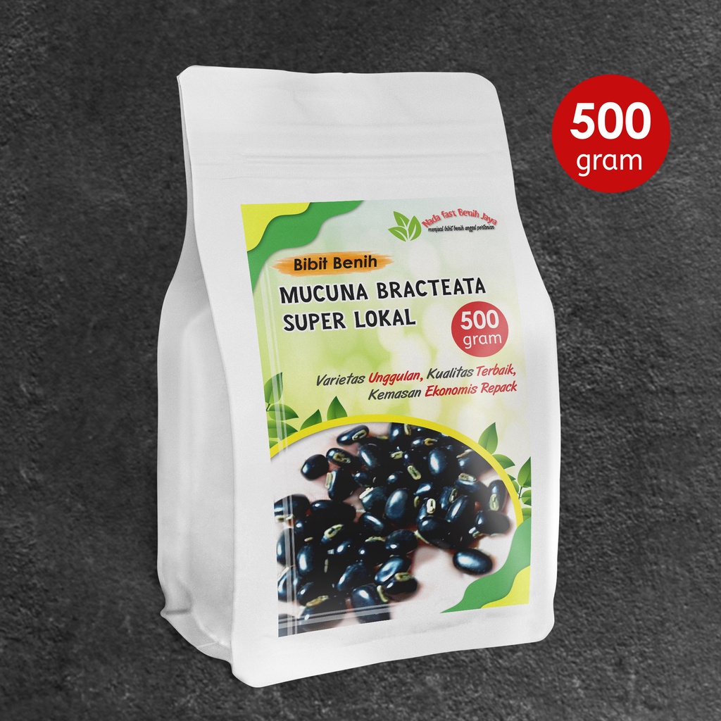 Benih Mucuna bracteata 1kg dan 500 gram varian super lokal bibit mucuna bracteata Benih tanaman