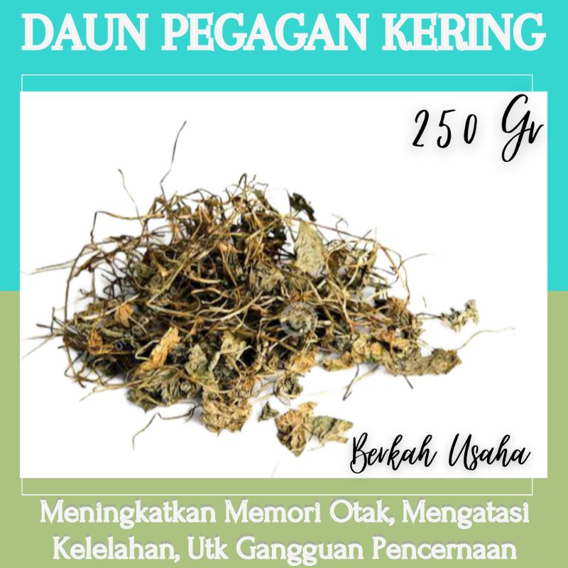 

HERBAL DAUN PEGAGAN / ANTANAN KERING 250 GRAM MEMBUAT OTAK LEBIH KONSENTRASI