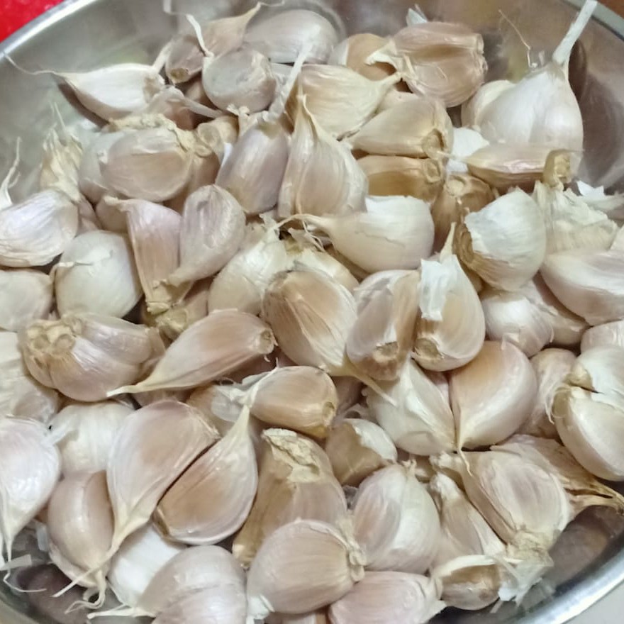 

Bawang Putih Kating 500 gram