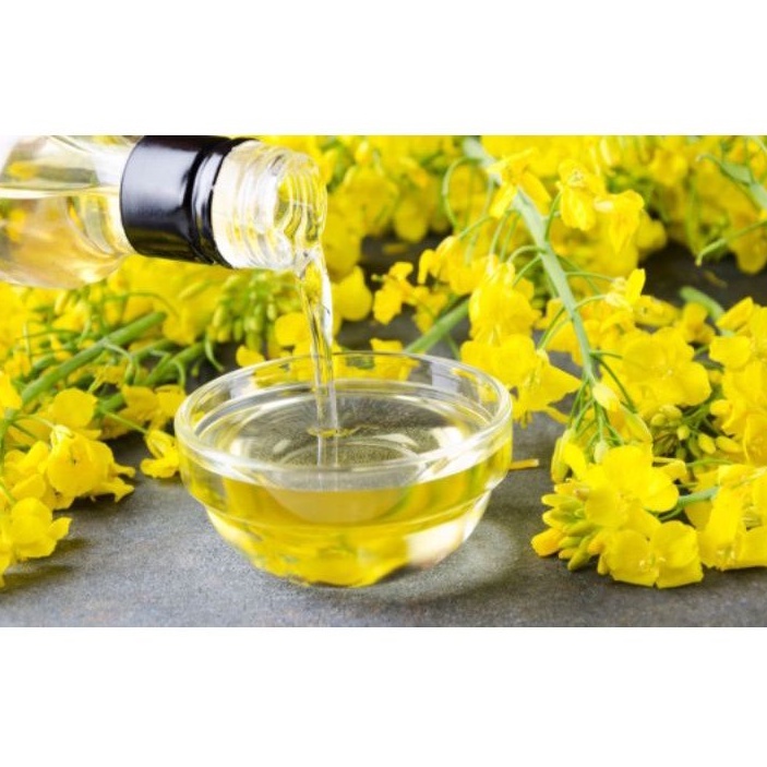 Canola oil / Minyak canola asli 100 ml