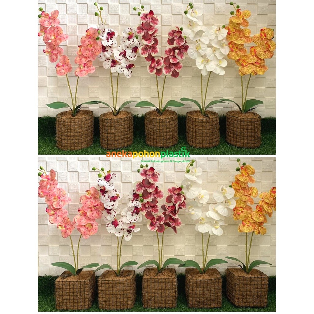 Bunga Anggrek X2 Artificial Latex Pot Serabut Tanaman Bunga Anggrek X2 Artificial Latex Pot Serabut Tanaman