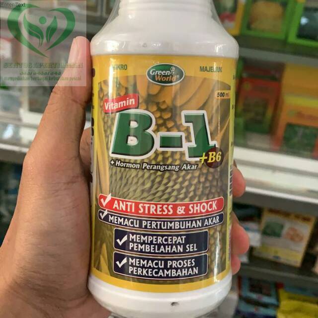 Hormon Perangsang Akar vitamin B-1+B6 500ml