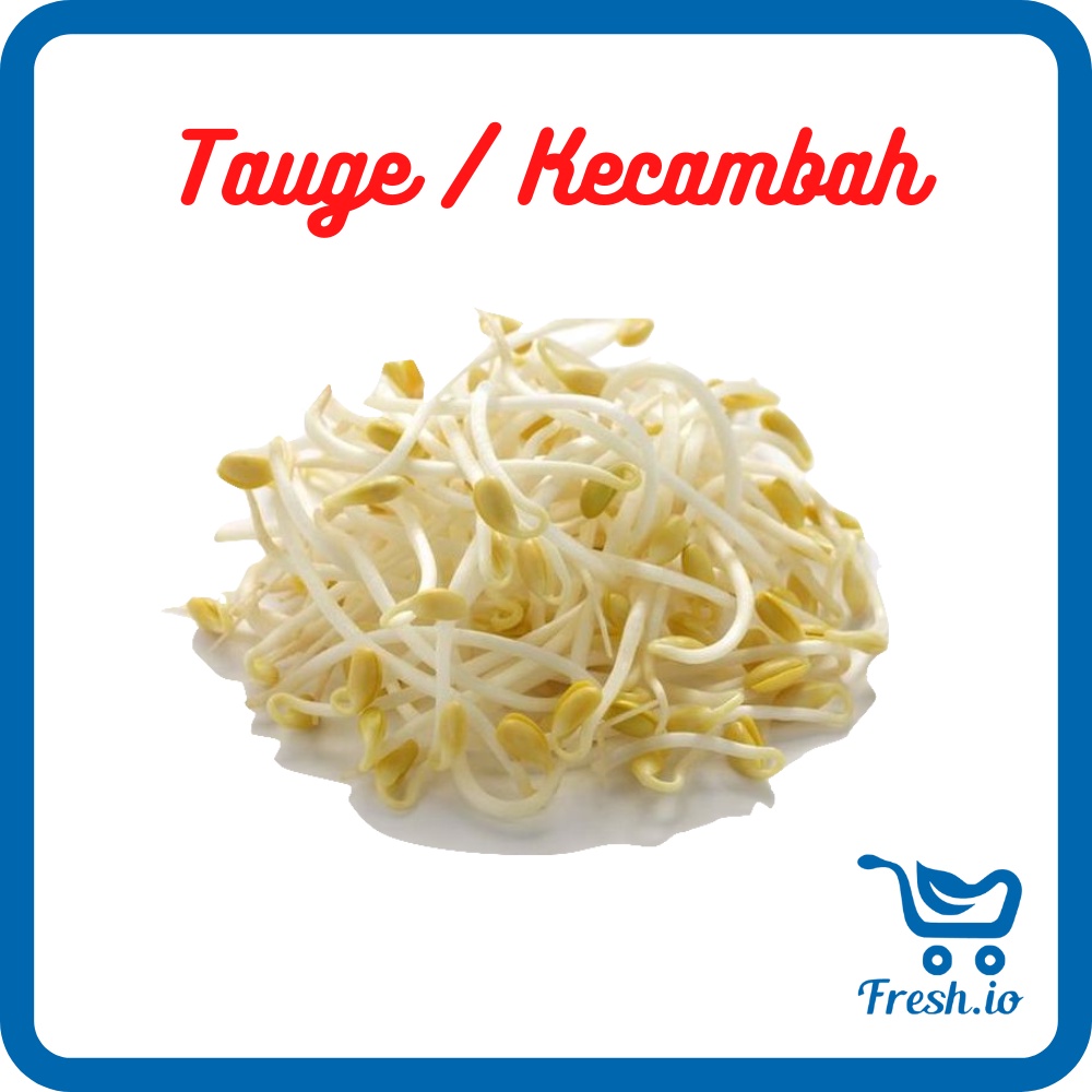 

Kecambah / Tauge