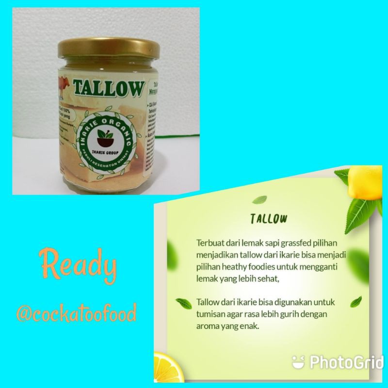 

Ikarie Organic Tallow, Lemak Baik Sapi Halal