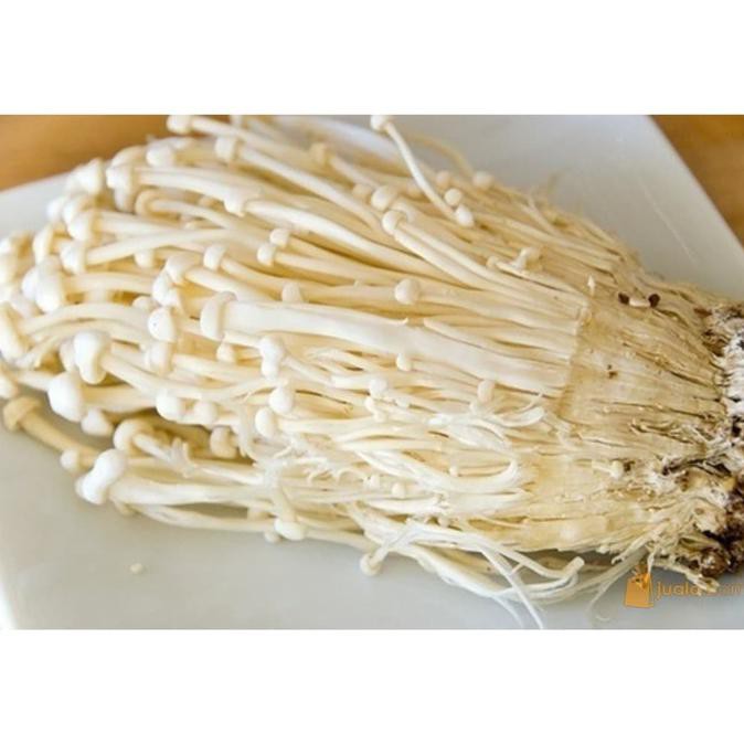 

Cuci Gudang Awal Tahun Jamur Enoki / Enokitake 100gr/Pack Promo Awal tahun