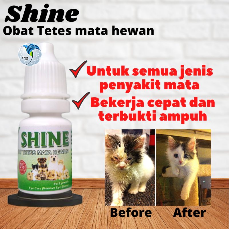 Obat Tetes Mata Kucing Anjing SHINE Obat Sakit mata Kucing Belekan Iritasi Berair