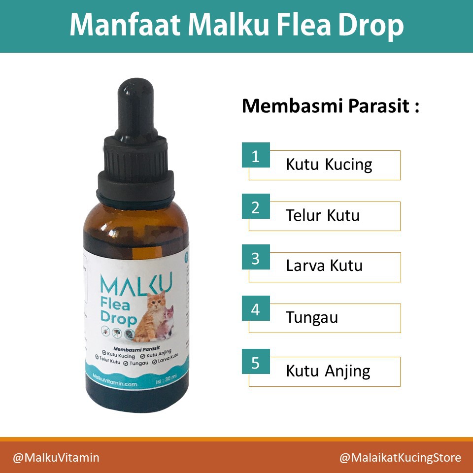 MALKU Flea Drop - Anti Kutu Kucing