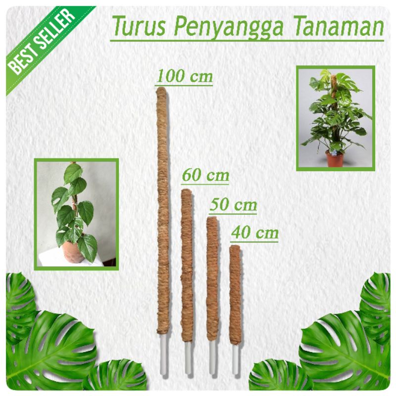 Turus Tanaman Pipa 60 cm - Turus Tanaman Rambat - Turus Penyangga Tanaman - Tanaman Rambat