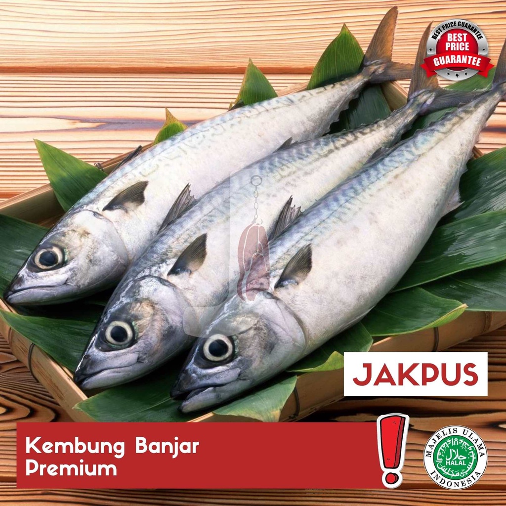 

Kembung Banjar Premium - JAKPUS