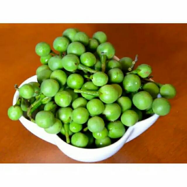 

Buah cepokak segar 500gr / ketokak / buah rimbang / herbal