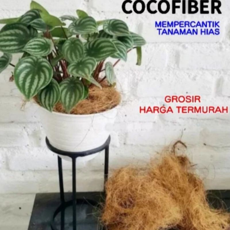 

cocofiber serabut kelapa 500gram