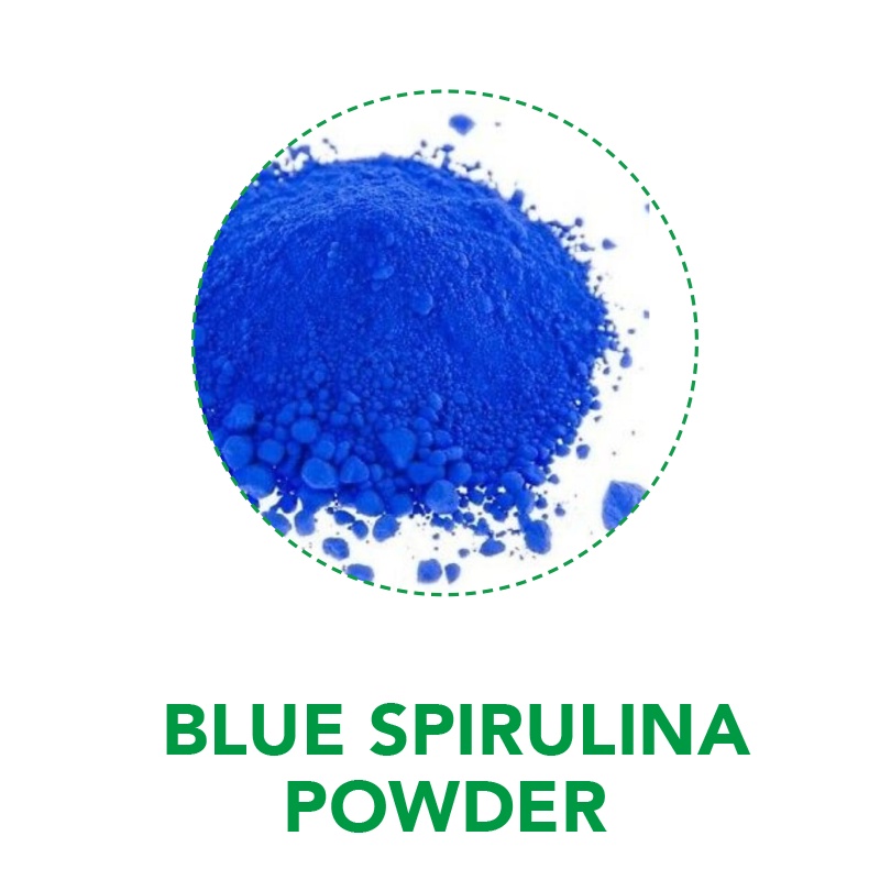Blue Spirulina 5gr 5 gr Fish pigmen biru pewarna vitamin ikan cichlid louhan