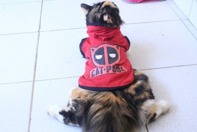 Kaos hoodie sablon catpool parody deadpool / baju kucing lucu / baju kucing murah