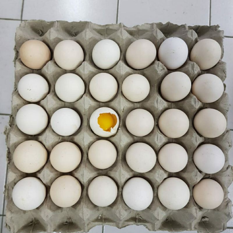 Telur Ayam Kampung Kuning Butiran