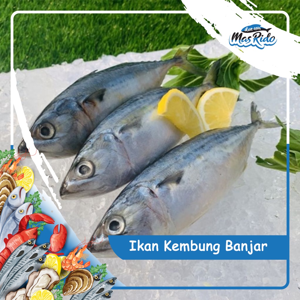 

Ikan Kembung Banjar Segar Frozen Food Kwalitas Premium Harga Murah