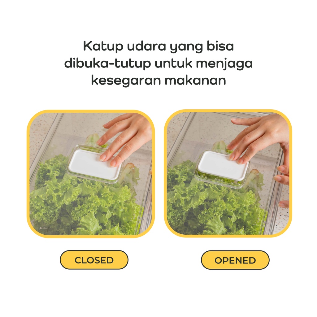 【IKONE】KOBE Kotak Penyimpanan Makanan Kulkas Food Storage kotak container Kulkas Laci