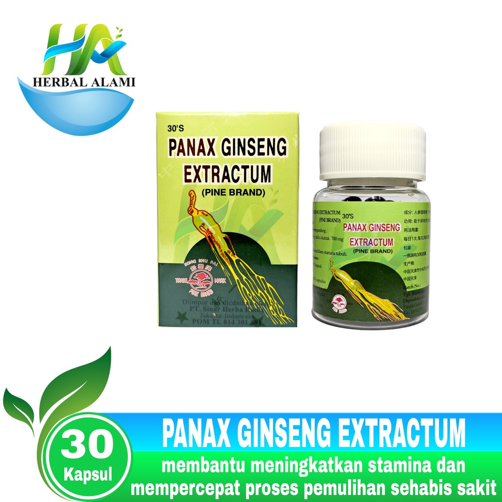 Panax Ginseng Extractum Kapsul ( Pine Brand ) - Penambah Energi Tubuh