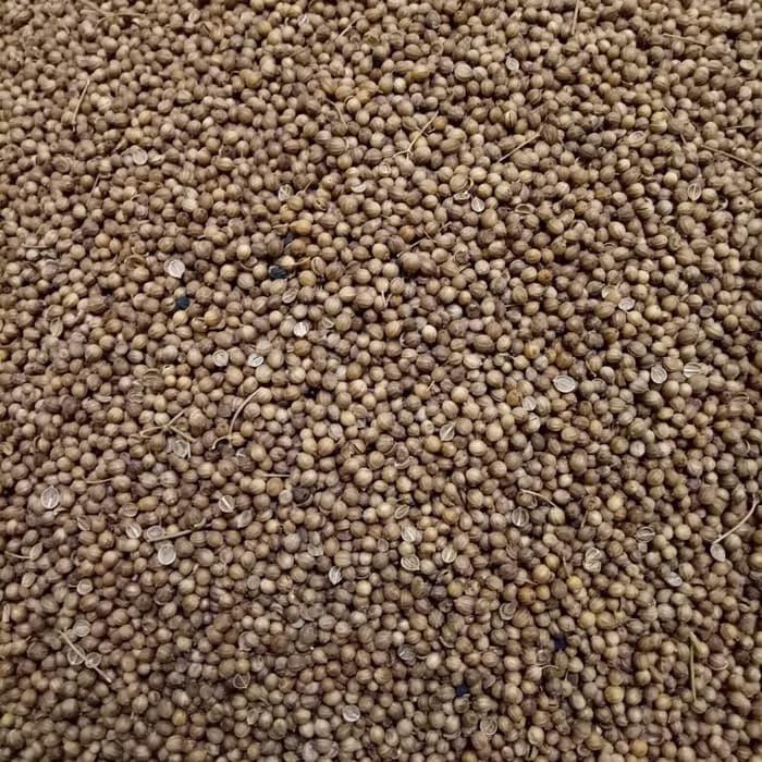 

Biji ketumbar asli alami 1/2 kg BERKUALITAS