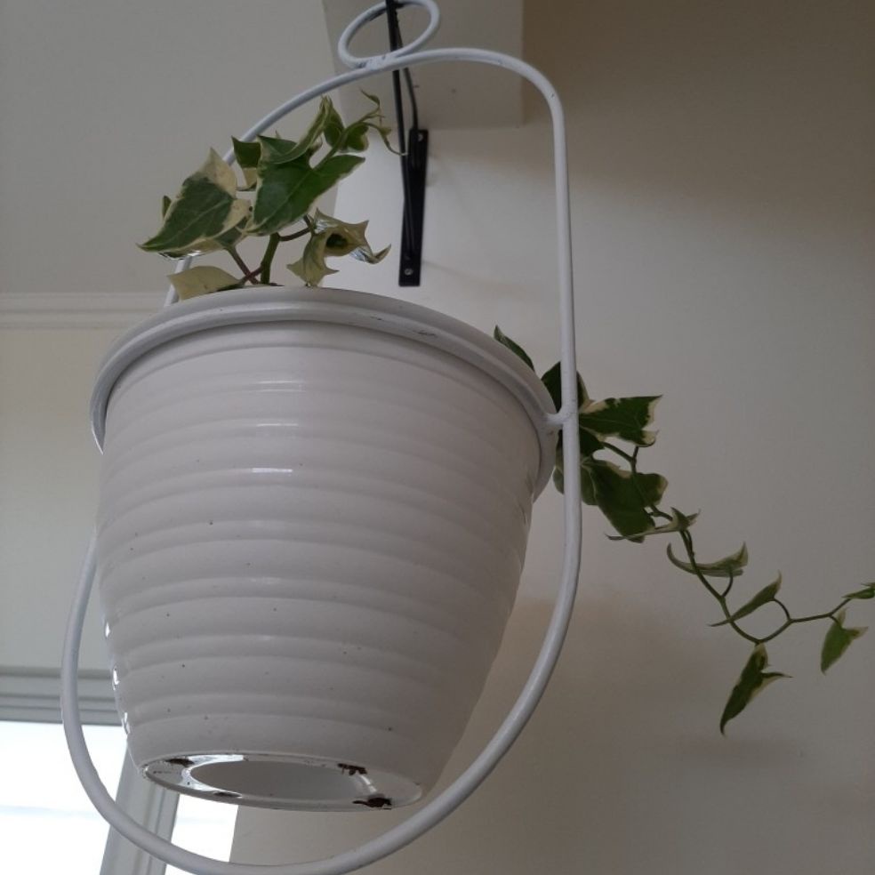 RAK POT / STANDING RAK POT GANTUNG/RAK POT GANTUNG BESI/RAK POT GANTUNG HIAS/RAK POT HIAS BESI/RAK P