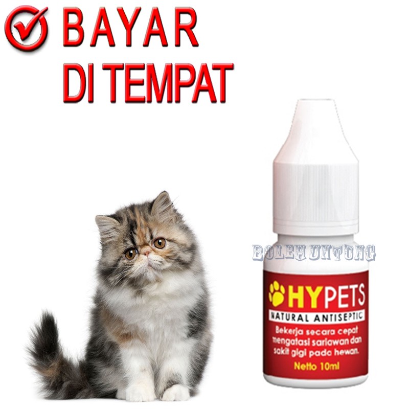 HYPETS OBAT KUCING ANJING SARIAWAN PENGHILANG BAU MULUT