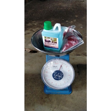 pupuk perangsang tunas