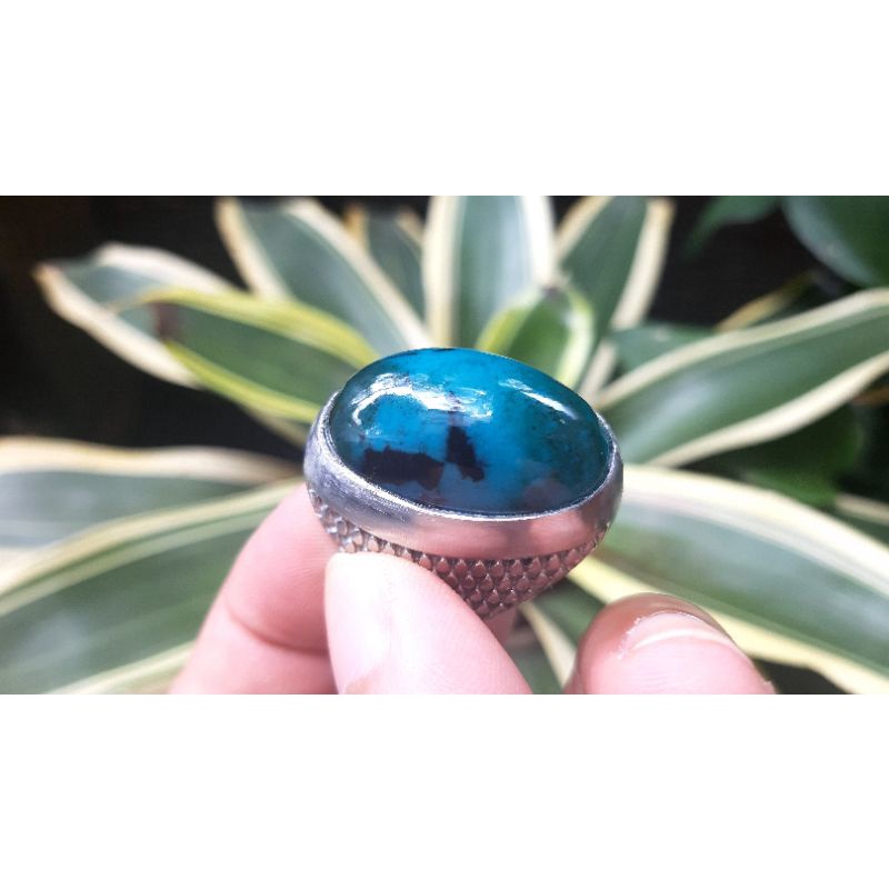 Bacan coklat majiko totol jumbo