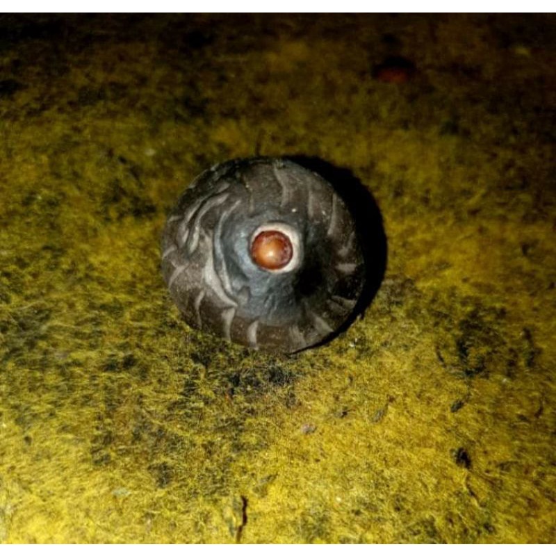 Mustika Geliga lipan kuning