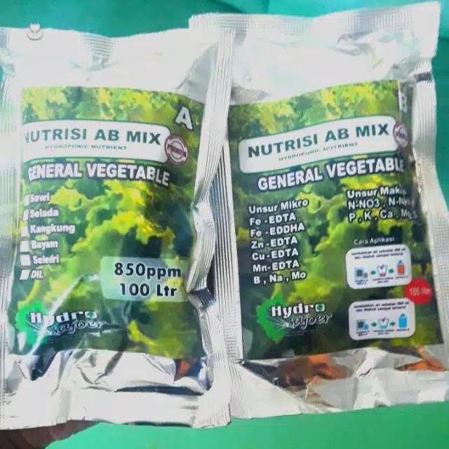 Nutrisi Hidroponik AB Mix