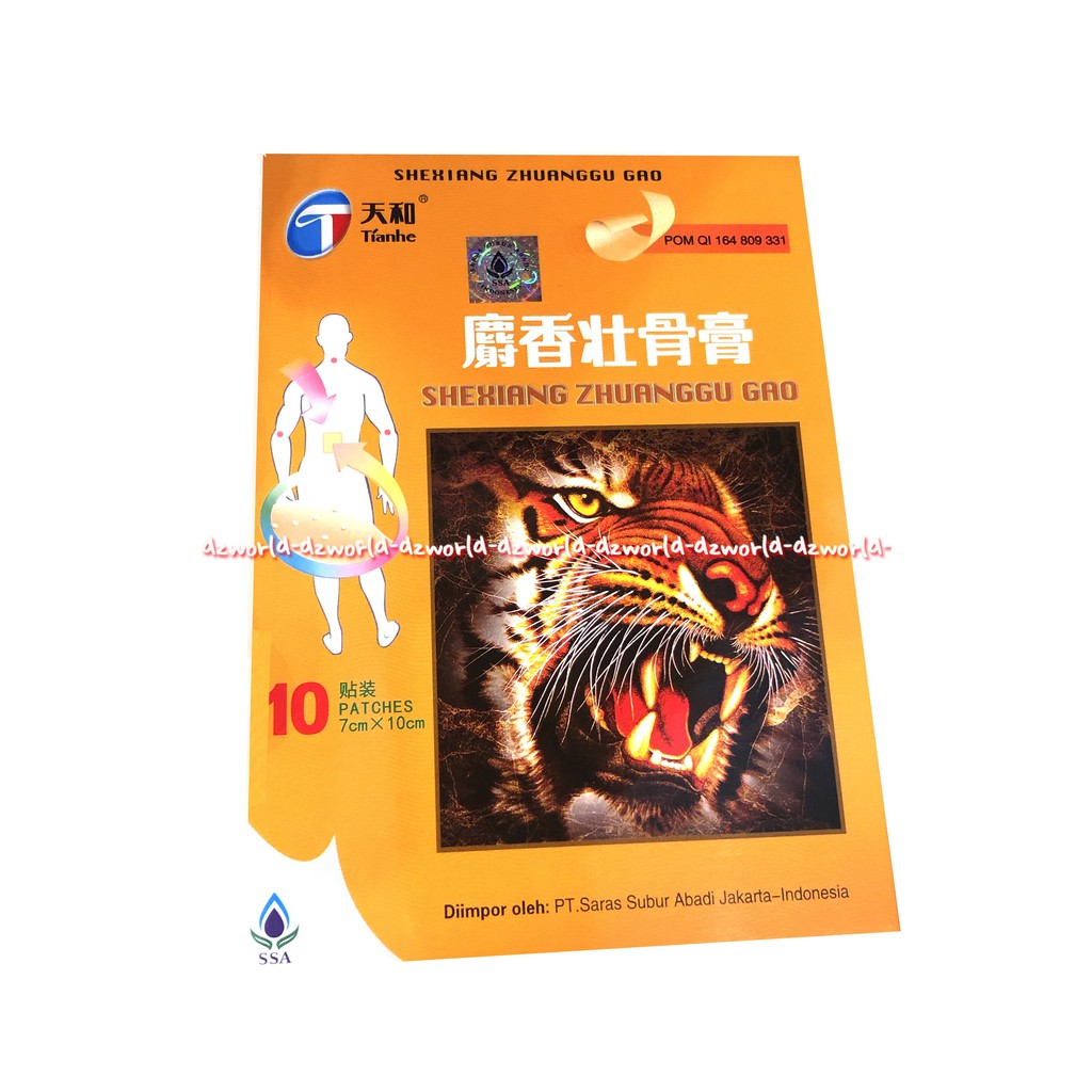 Shexiang Zhuanggu Gao 10 Patches Koyo Rematik Sexiang Shesiang