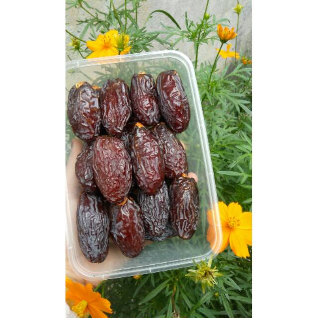 

Kurma medjol Palestine Jericho Dates Jumbo Premium 500gr