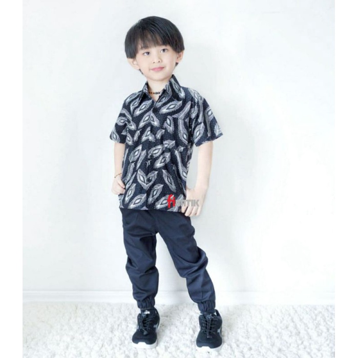 Kemeja Batik Anak - batik anak - baju batik anak laki laki umur 2-12 tahun hem batik anak pendek