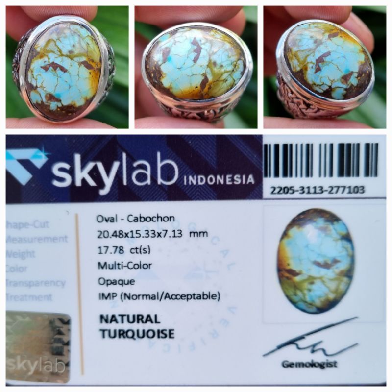 Natural Pirus Persia Multi Color Turquoise Iran Memo 17.78 crt