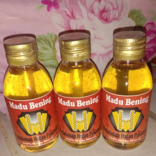 

MADU HUTAN BENING ASLI PEDALAMAN HUTAN PASAMAN 120 ml 100% MADU MURNI