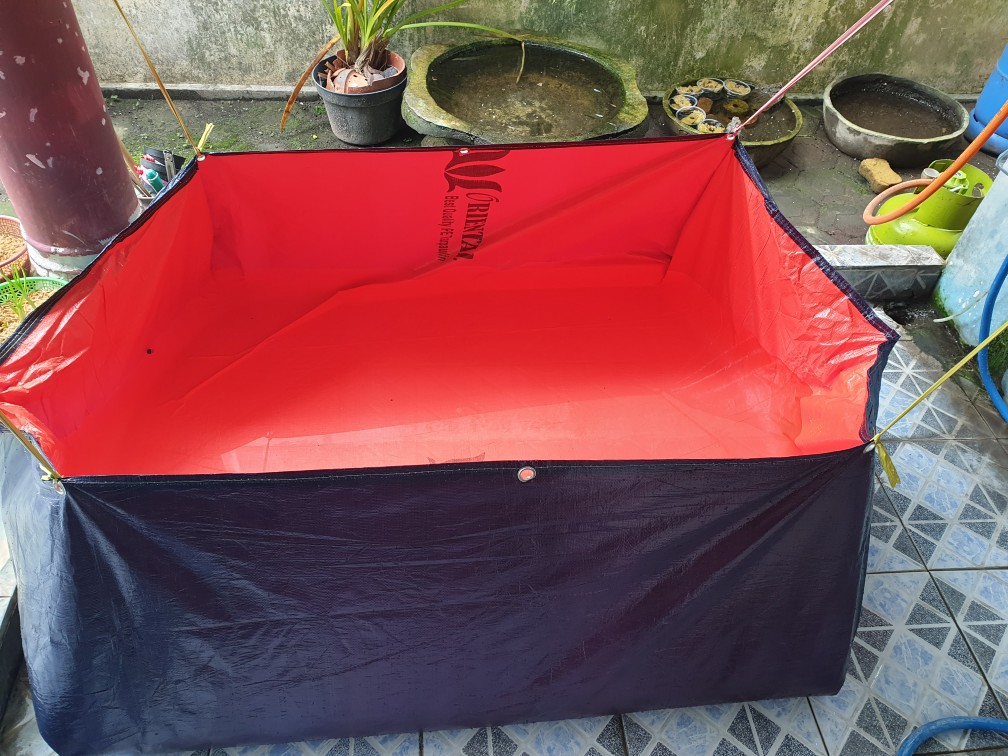 Terpal Kolam Ikan Type A5 Ukuran (100×100×50)