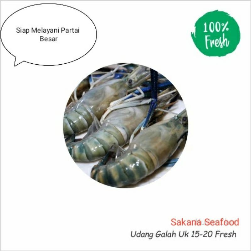 

Udang Galah Besar 1Kg