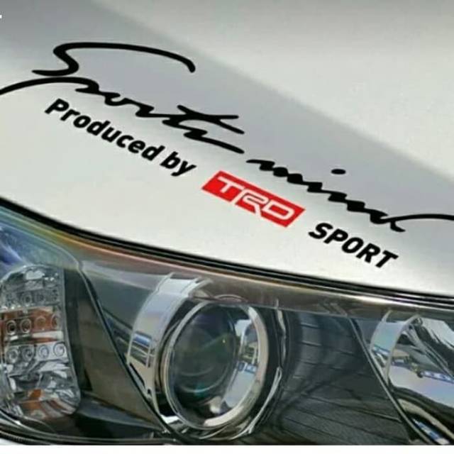 Stiker Mobil Avanza Xenia Sigra Ertiga Mobilio Fortuner Stiker Mobil Keren 3D Keren Lucu