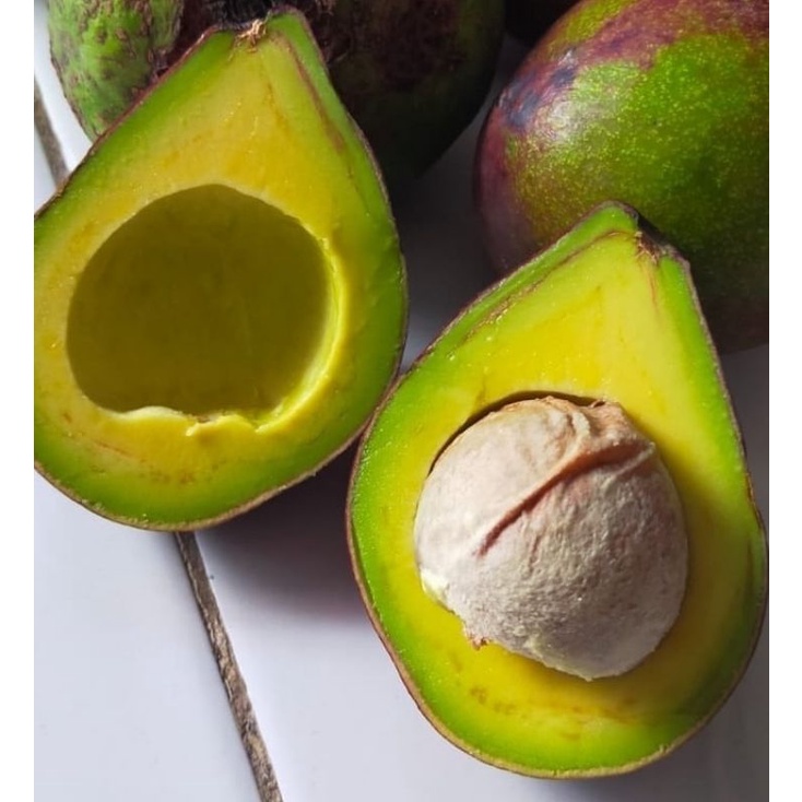 

ALPUKAT MENTEGA SUPER PREMIUM 1kg isi 2-3/BUAH ALPUKAT MENTEGA FR