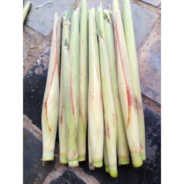 

sayur telor tebu / turubuk trubuk endog tiwu bunga telur telur tebu segar murah bayar ditempat